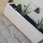 Casa Eowyn
